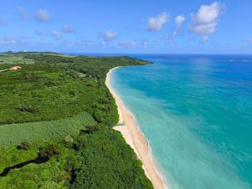 ブルーオーシャンクラブに投稿された画像（2024/10/19）