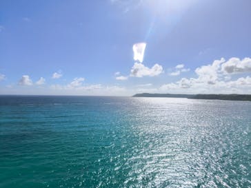 ブルーオーシャンクラブに投稿された画像（2024/10/19）