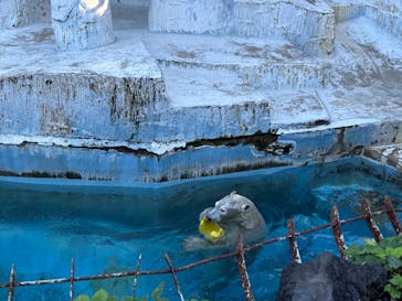天王寺動物園に投稿された画像（2024/10/19）