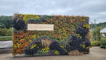 ぎふワールド・ローズガーデンに投稿された画像（2024/10/19）