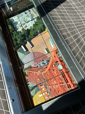 東京タワーに投稿された画像（2024/10/19）