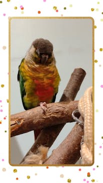 Moff animal cafe MARKIS 福岡ももち店に投稿された画像（2024/10/19）