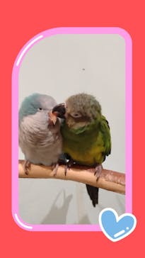 Moff animal cafe MARKIS 福岡ももち店に投稿された画像（2024/10/19）