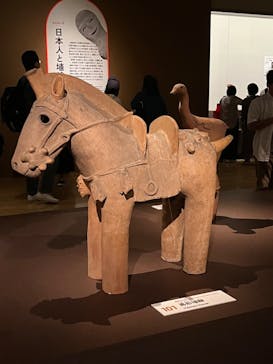 挂甲の武人 国宝指定50周年記念 特別展「はにわ」@東京国立博物館 平成館に投稿された画像（2024/10/19）