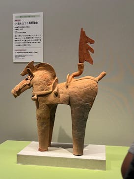 挂甲の武人 国宝指定50周年記念 特別展「はにわ」@東京国立博物館 平成館に投稿された画像（2024/10/19）