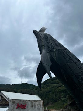 城崎マリンワールドに投稿された画像（2024/10/19）