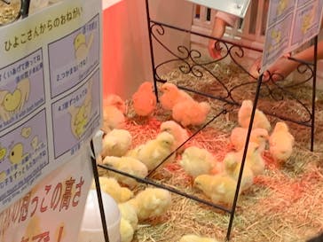 アニタッチららぽーと名古屋みなとアクルスに投稿された画像（2024/10/19）