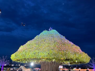 東京メガイルミに投稿された画像（2024/10/19）