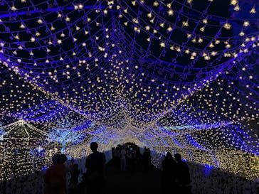 東京メガイルミに投稿された画像（2024/10/19）