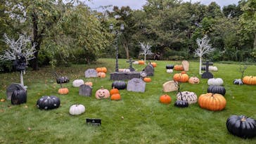 横浜イングリッシュガーデンに投稿された画像（2024/10/19）