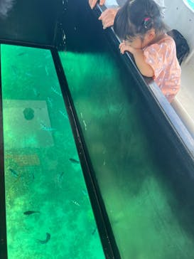 青の洞窟専門店　沖縄ダイビングショップ和に投稿された画像（2024/10/19）