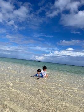 シメラギに投稿された画像（2024/10/19）