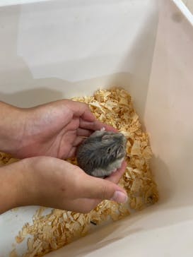 いきもの探検隊上尾に投稿された画像（2024/10/19）