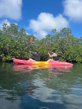 西表島 ADVENTURE PiPi（アドベンチャーピピ）に投稿された画像（2024/10/19）