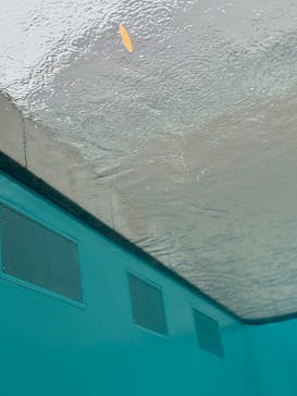 金沢21世紀美術館に投稿された画像（2024/10/19）