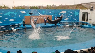 仙台うみの杜水族館に投稿された画像（2024/10/19）