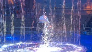 マクセル アクアパーク品川に投稿された画像（2024/10/19）