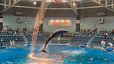 マクセル アクアパーク品川に投稿された画像（2024/10/19）