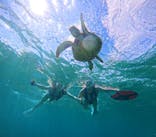 COCO宮古島に投稿された画像（2024/10/19）