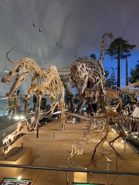 福井県立恐竜博物館に投稿された画像（2024/10/19）