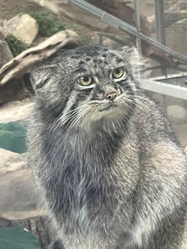 神戸どうぶつ王国に投稿された画像（2024/10/19）