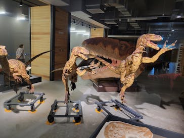 福井県立恐竜博物館に投稿された画像（2024/10/19）