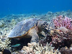 いよんちに投稿された画像（2024/10/19）