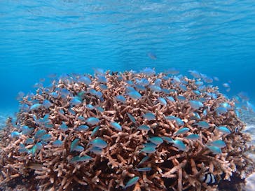 いよんちに投稿された画像（2024/10/19）