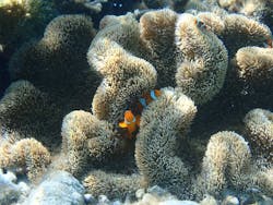 いよんちに投稿された画像（2024/10/19）