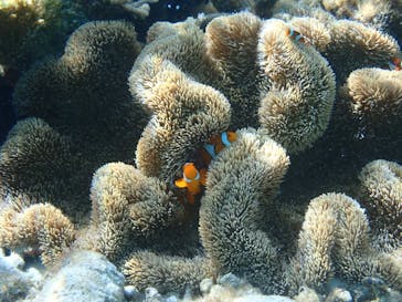 いよんちに投稿された画像（2024/10/19）