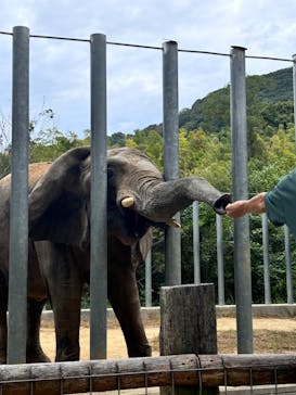 しろとり動物園に投稿された画像（2024/10/19）