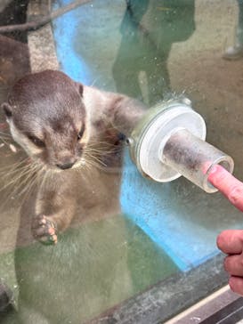 しろとり動物園に投稿された画像（2024/10/19）
