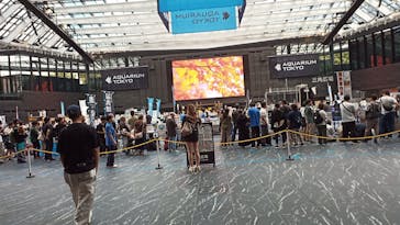 アクアリウム東京に投稿された画像（2024/10/19）