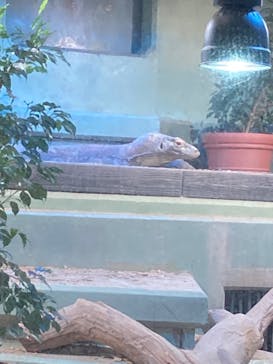 名古屋市東山動植物園に投稿された画像（2024/10/19）