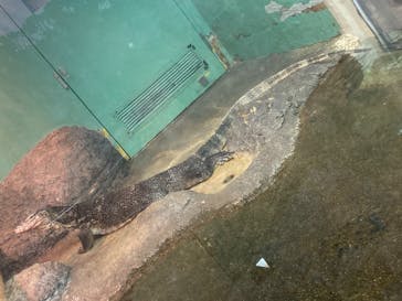 名古屋市東山動植物園に投稿された画像（2024/10/19）