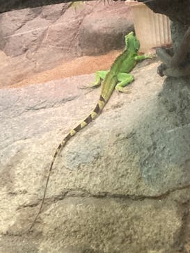 名古屋市東山動植物園に投稿された画像（2024/10/19）