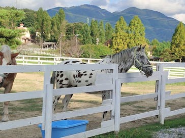 滋賀農業公園ブルーメの丘に投稿された画像（2024/10/19）