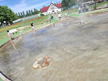 滋賀農業公園ブルーメの丘に投稿された画像（2024/10/19）