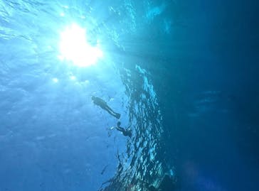 DIVING-SHOP SUNSに投稿された画像（2024/10/19）