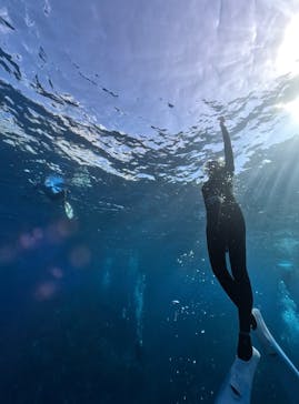 DIVING-SHOP SUNSに投稿された画像（2024/10/19）