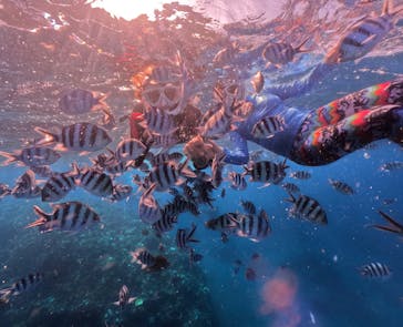 DIVING-SHOP SUNSに投稿された画像（2024/10/19）