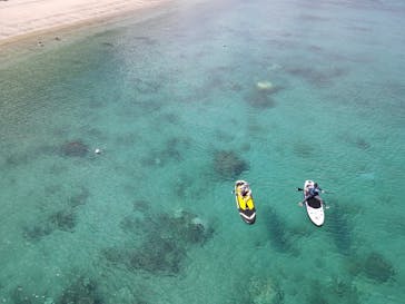 奄美シーランドに投稿された画像（2024/10/19）