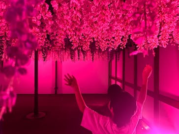 東京メガイルミに投稿された画像（2024/10/19）