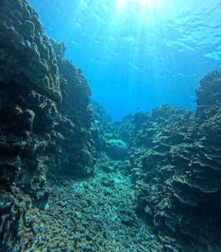 西表島 ADVENTURE PiPi（アドベンチャーピピ）に投稿された画像（2024/10/19）