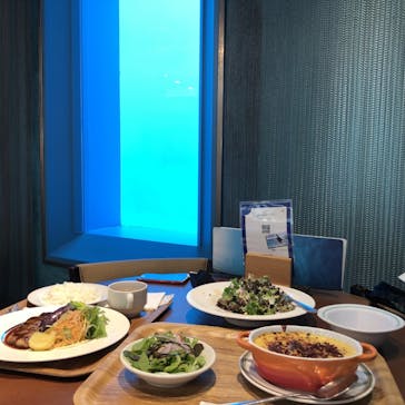 鴨川シーワールドに投稿された画像（2024/10/19）