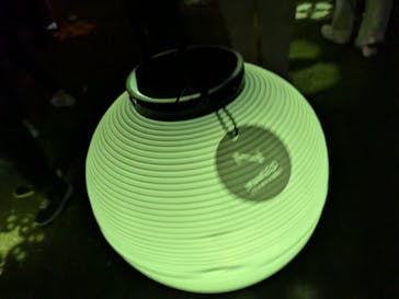 NAKED光の西本願寺2024 秋の特別公開に投稿された画像（2024/10/19）