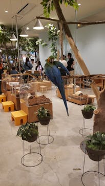 Moff animal cafe イオンモール新利府店に投稿された画像（2024/10/19）