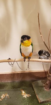 Moff animal cafe イオンモール新利府店に投稿された画像（2024/10/19）