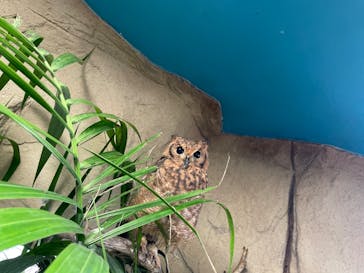 那須どうぶつ王国に投稿された画像（2024/10/19）