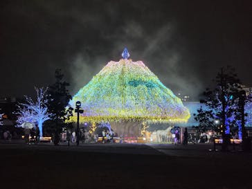 東京メガイルミに投稿された画像（2024/10/19）